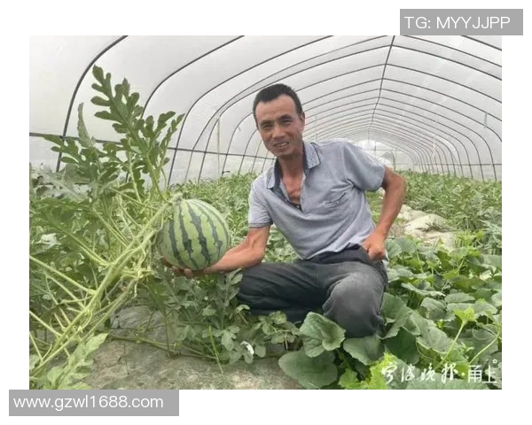 汉堡与比勒菲尔德比赛前瞻分析及胜负预测详解